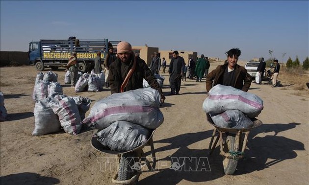 L'ONU appelle la communauté internationale à apporter une aide concrète au peuple afghan 