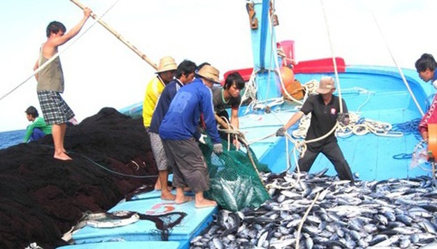 Le Vietnam renforce le contrôle de chalutiers pour éradiquer la pêche INN