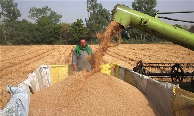 La FAO souligne l’importance du système agroalimentaire mondial
