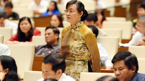 Депутаты Вьетнамского парламента обсудили исполнение госбюджета в 2013 году