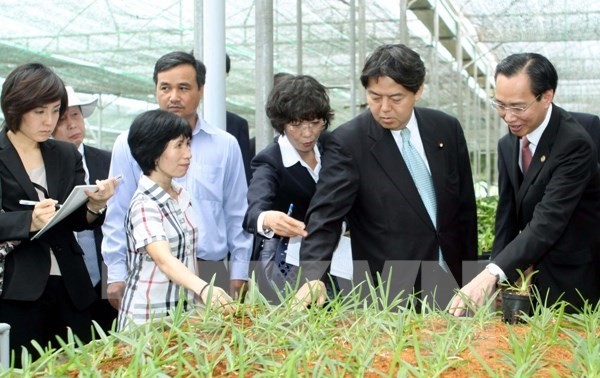 Провинция Намдинь и японская префектура Миядзаки сотрудничают в развитии сельского хозяйства