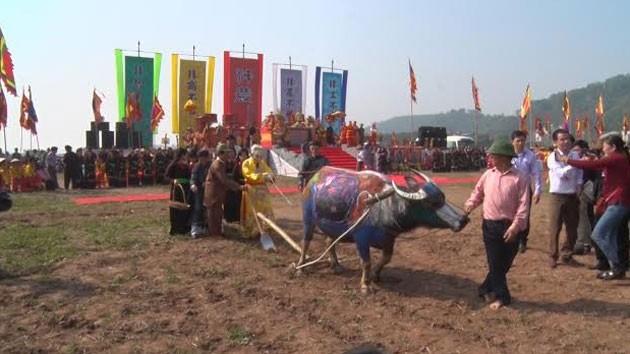 В провинции Ханам открылся праздник начала обработки земли