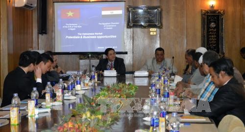Египетские предприятия желают расширить свою деятельность во Вьетнаме