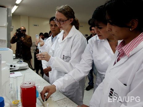 500 миллионам жителей стран Латинской Америки грозит заражение вирусом Зика