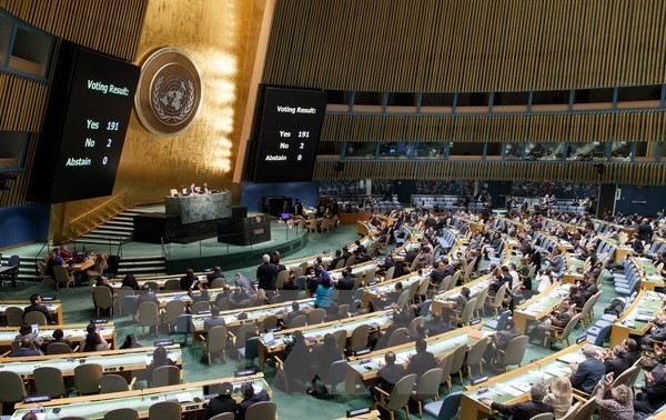 ООН выбрала 29 июня Международным днем тропических стран