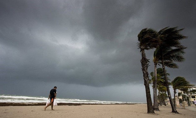 Ураган «Ирма» обрушился на штат Флорида