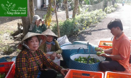 Нгуен Тхи Хюэ - лучший пример преодоления трудностей и повышения благосостояния в городе Кантхо