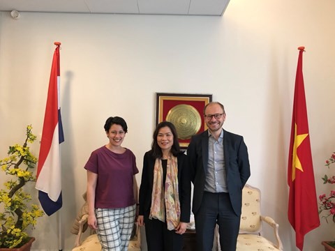 Посол СРВ в Нидерландах Нго Тхи Хоа приняла представителей Института «Делфта»