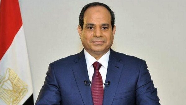 Египет подтвердил, что продолжит прилагать усилия для прекращения сирийского кризиса