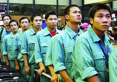Представительство МОТ во Вьетнаме призвало активизировать обеспечение миграционной безопасности