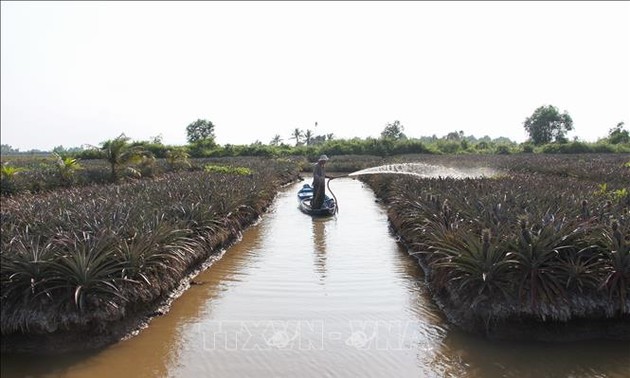 В Дельте реки Меконг наблюдается снижение степени засоленности