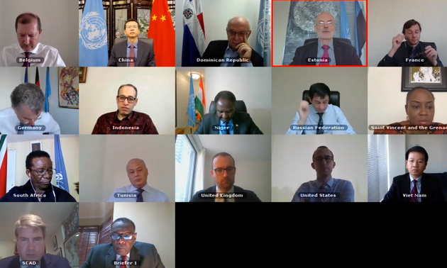 СБ ООН провел виртуальное заседание по ситуации в Судане и Сомали