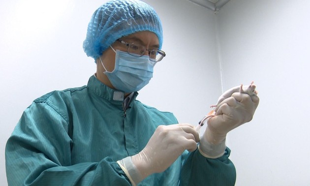 Вьетнам заявил об успешном тестировании на мышах вакцины от Covid-19