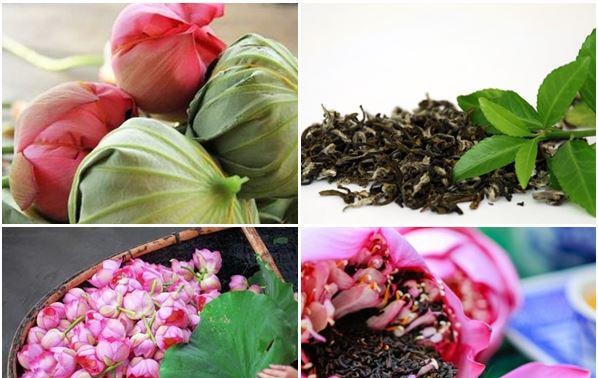 Искусство ароматизации чая лотосом во Вьетнаме 