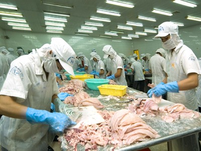 Jepang menjadi importir  pelopor  cumi-cumi dan ikan gurita Vietnam