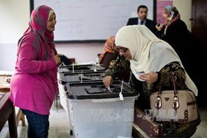 В Египте прошёл первый день голосования по новой конституции