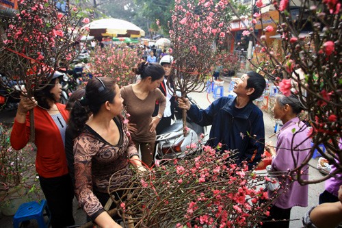 Уникальность ханойских рынков новогодних цветов