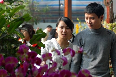 В преддверии Нового года на цветочном рынке Куанган