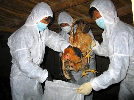 Ситуация с птичьим гриппом H7N9 в cтранах мира