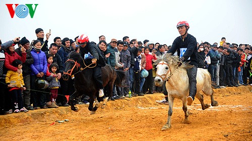 Лошадиные скачки «Бакха» в Ханое