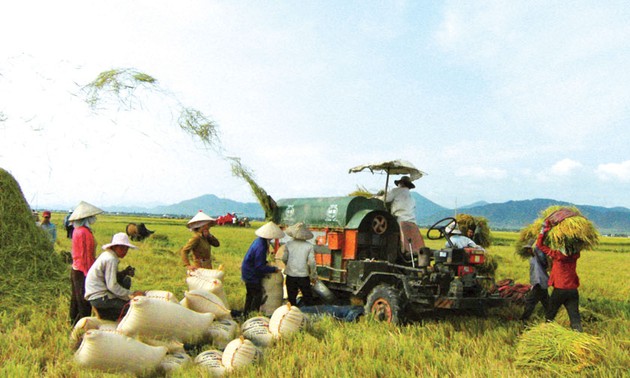 В 2014 году 600-700 общин Вьетнама ответят всем критериям строительства новой деревни
