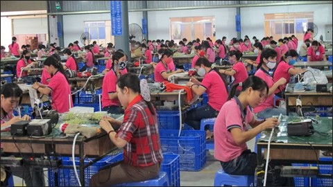 Провинция Биньзыонг благоприятствует стабилизации предприятиями своей деятельности