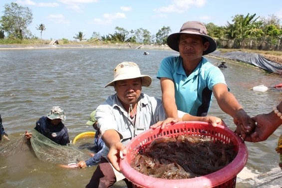 Объем экспорта аквапродуктов Вьетнама в 2014 году может составить $7 млрд