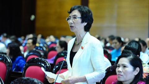 Вьетнамский парламент обсуждал некоторые законопроекты