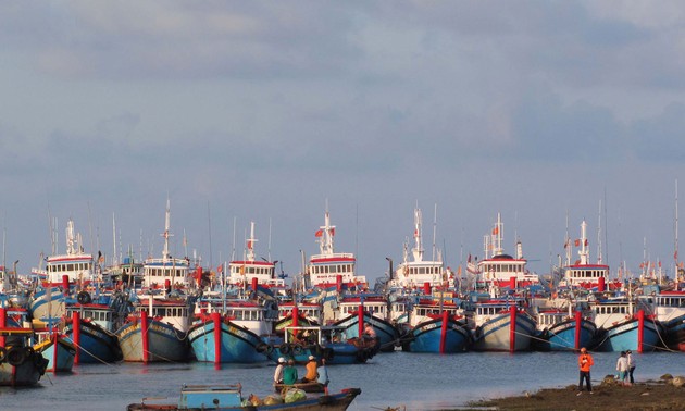 Оказание содействия рыбакам в ведении промысла в далеком море