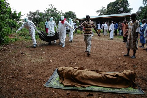 Минздрав Вьетнама издал план действий по борьбе с лихорадкой Эбола в стране