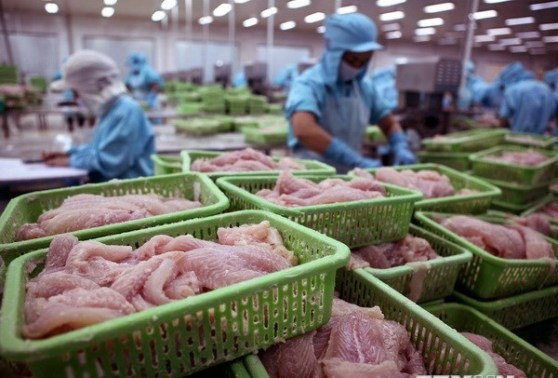 Основным поставщиком рыбы в Колумбию в 2013 году стал Вьетнам