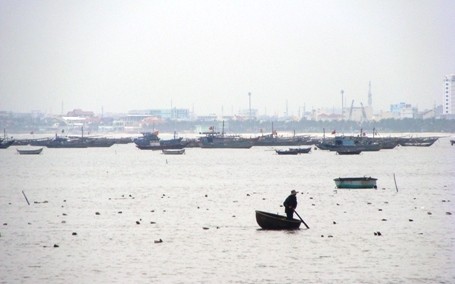 Вьетнамские депутаты высказали мнения по проекту Закона о морских ресурсах и среде