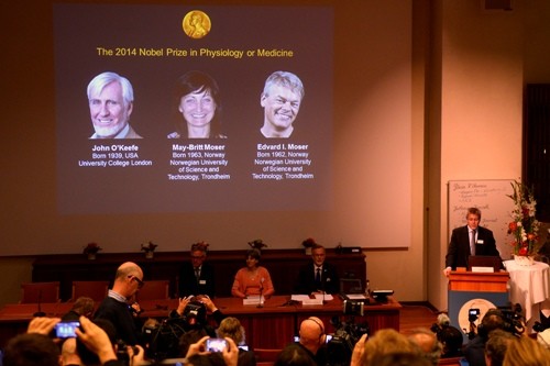 В 2014 году Нобелевская премия по медицине присуждена американцу и супругам из Норвегии