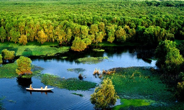 Сказочное мгновение в мангровом лесу Чашы