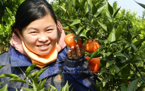 В горной общине Зунгфонг построили новую деревню благодаря выращиванию апельсиновых деревьев