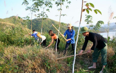 Комсомольцы провинции Лайтяу совместно строят новую деревню