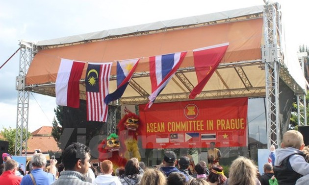 Представление вьетнамской культуры в Чешской Республике