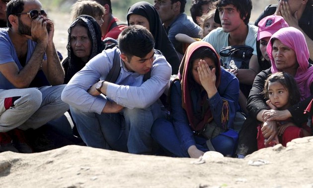 ЕС не смог договориться о размещении 40 тыс беженцев из Италии и Греции