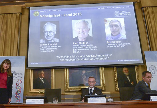 Нобелевскую премию по химии разделили ученые из Швеции, США и Турции