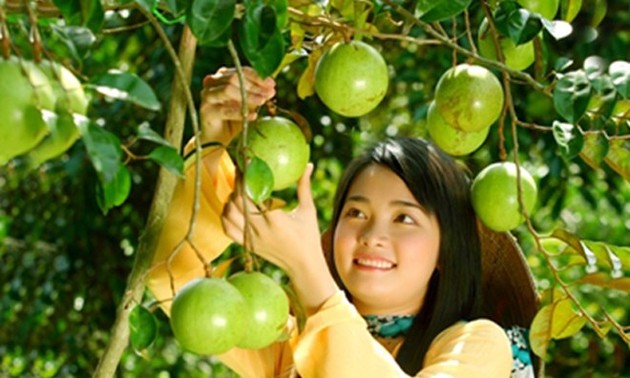 Популярные фрукты на юго-западе Вьетнама