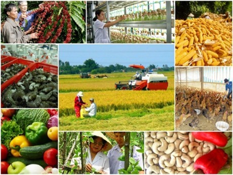 Вьетнам реструктурирует сельское хозяйство для интеграции и развития страны
