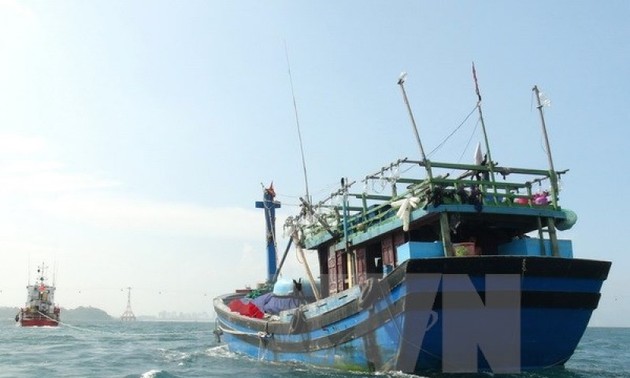 МИД СРВ осудило затопление рыболовецкого судна провинции Биньдинь