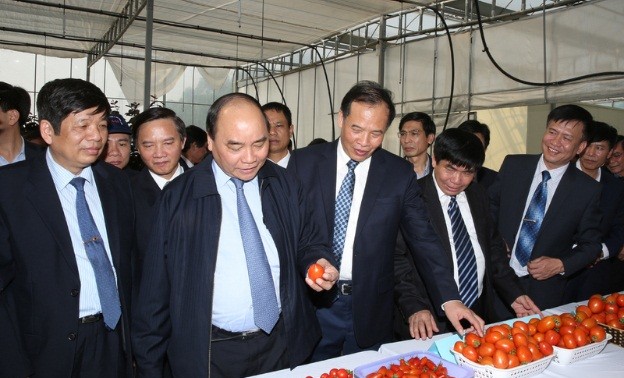 Вице-премьер СРВ Нгуен Суан Фук поздравил власти и жителей провинции Хайзыонг с Тэтом