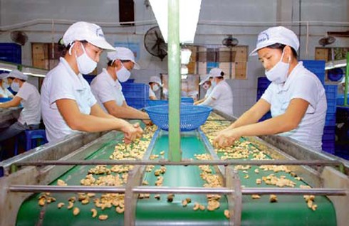 Благоприятные перспективы экспорта сельхозпродукции Вьетнама в 2016 году