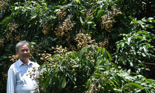 Крестьяне провинции Донгтхап экспортируют сельхозпродукцию за границу