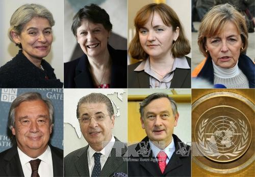 СБ ООН провел предварительное голосование по кандидатам на пост генсека