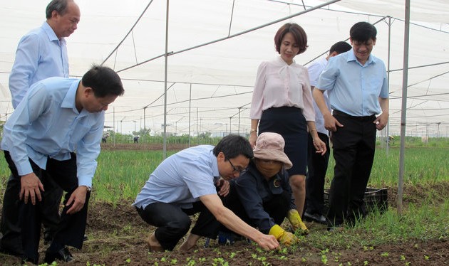 Ву Дык Дам проверил работу по обеспечению безопасности продуктов питания в провинции Бакнинь