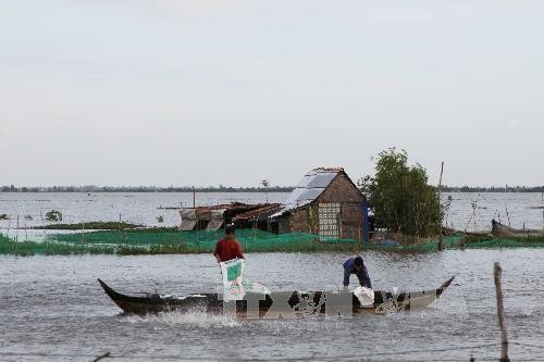 Крестьяне дельты реки Меконг адаптируются к отсутствию наводнений
