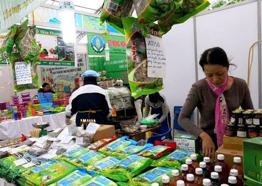 Активизация продвижения вьетнамской сельхозпродукции на мировом рынке