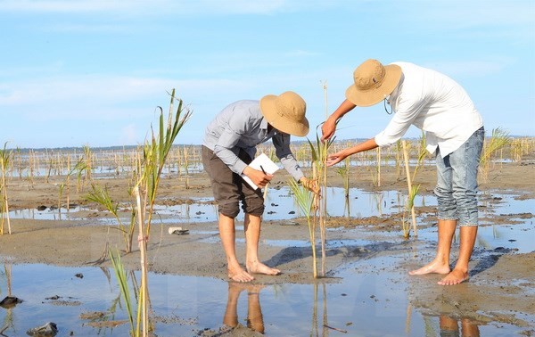 Вьетнам активно сотрудничает со странами АСЕАН в сфере экологии